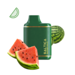 saltica watermelon ice 6000