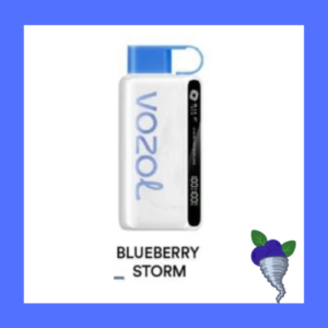 VOZOL 12000 BLUEBERRY STORM